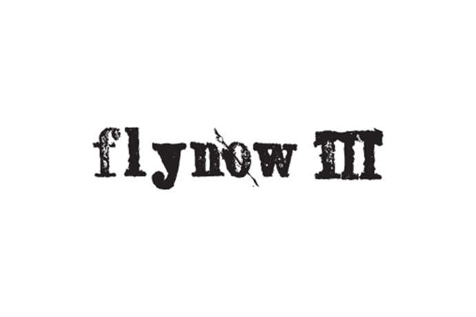 FLY NOW III